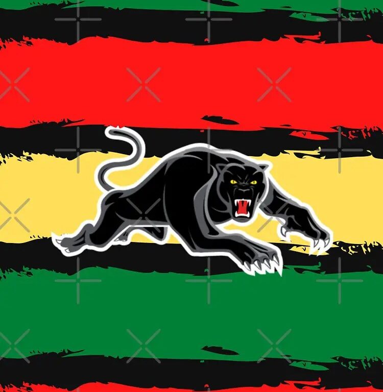 NRL Penrith Panthers Black Kids Pullover Hoodie